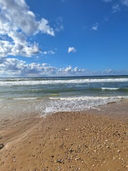 The Beach on Yemaya Day 2024